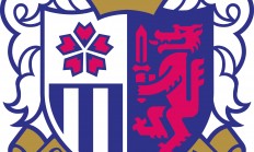 爱游戏体育-关于大阪樱花晋级顺利，继续征战联赛的信息