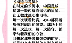 -包含坚持梦想，亚洲足球比赛中的永不言弃的词条